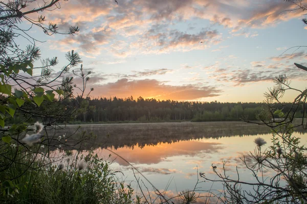 Oranje dawn — Stockfoto