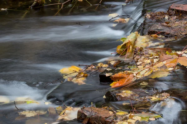 Herbstdamm — Stockfoto