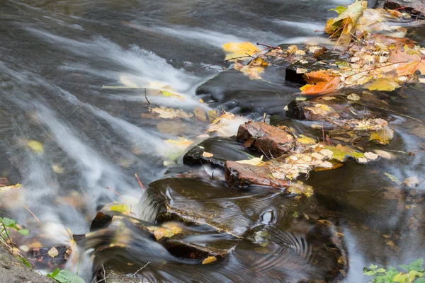 Herbstdamm — Stockfoto