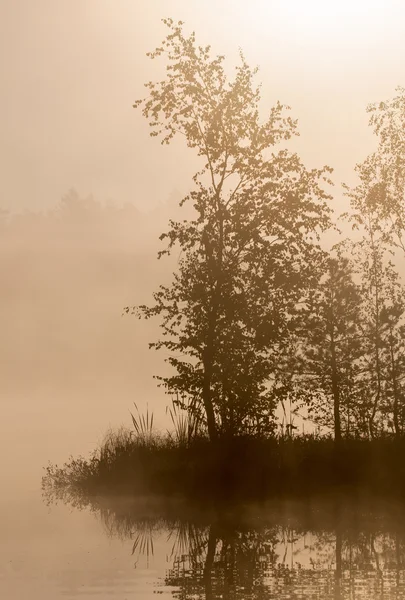 Mañana brumosa en el lago Yushino — Foto de Stock