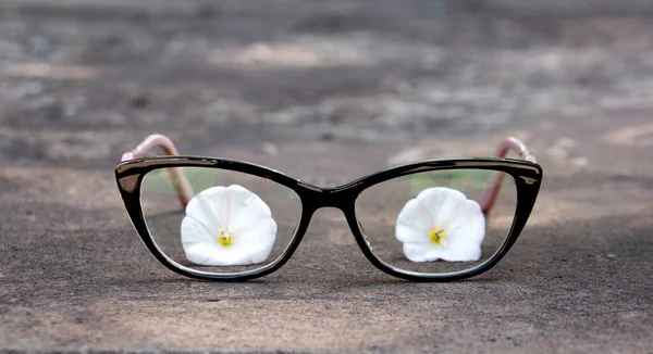 Gli Occhiali Sono Terra Fiori Bianchi Sono Visibili Attraverso Lenti — Foto Stock