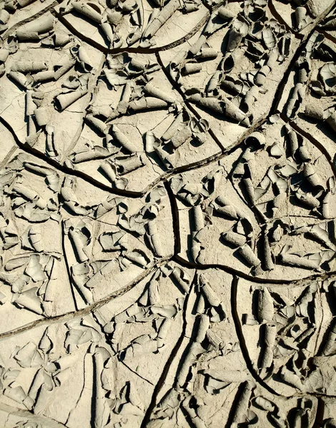 Image of cracked clay. Texture for background. Natural background for your design.