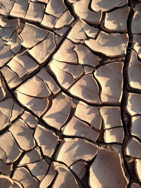 Image of cracked clay. Texture for background. Natural background for your design.