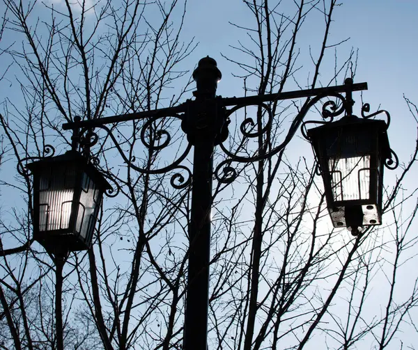 Уличная Лампа Фоне Цветущего Весеннего Дерева Голубого Неба — стоковое фото