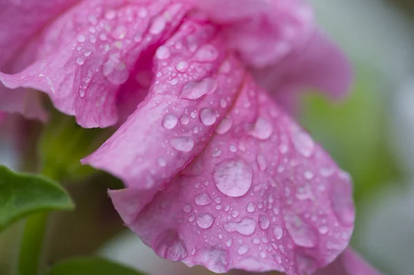 Das ist nicht der Fall. — Stockfoto