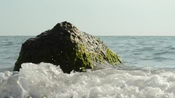 De steen in het water — Stockvideo