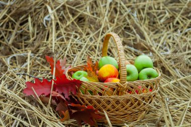 Saman üzerinde olgun elma sepeti
