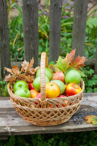 Basket with ripe apples — Stock Photo, Image