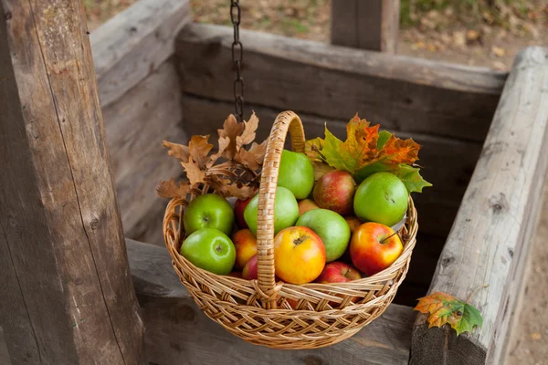 Cesto con mele mature — Foto Stock