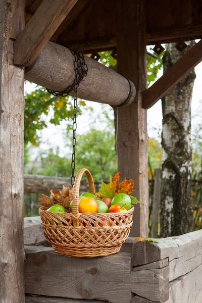 Basket with ripe apples — Stock Photo, Image