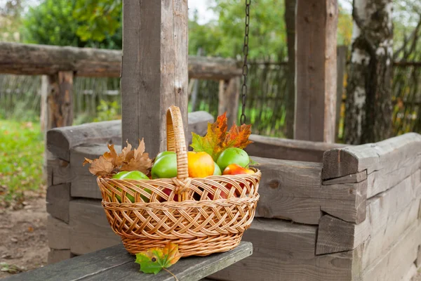 Basket with ripe apples — Stock Photo, Image