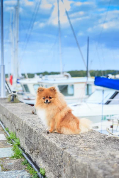 Pomeranian parapet quay on the background of yachts — Stock Photo, Image