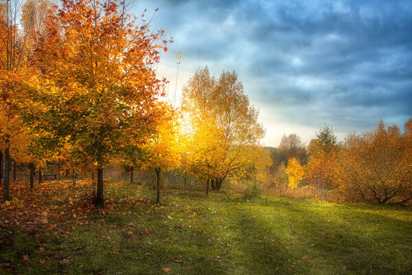 Beautiful autumn landscape with sun rays