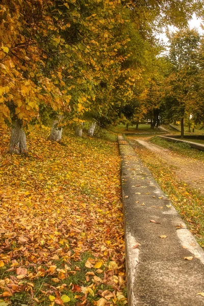 Allée parsemée de feuilles d'automne dans le parc d'automne Image En Vente