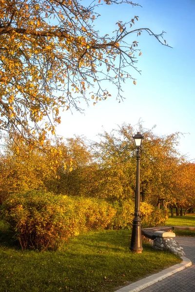 Callejón en el parque de otoño árboles con hojas amarillas — Foto de Stock