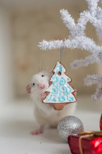 Rato engraçado bonito em um fundo de decorações de Natal — Fotografia de Stock