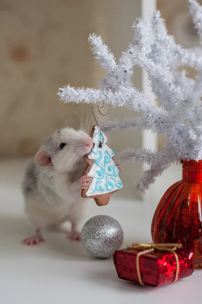 Ładny zabawny szczur na tle ozdób choinkowych — Zdjęcie stockowe