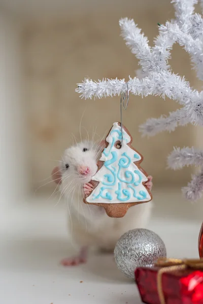 Mignon rat drôle sur un fond de décorations de Noël Image En Vente