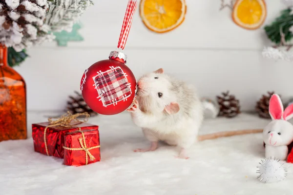 Rato bonito decorativo em um fundo de decorações de Natal — Fotografia de Stock