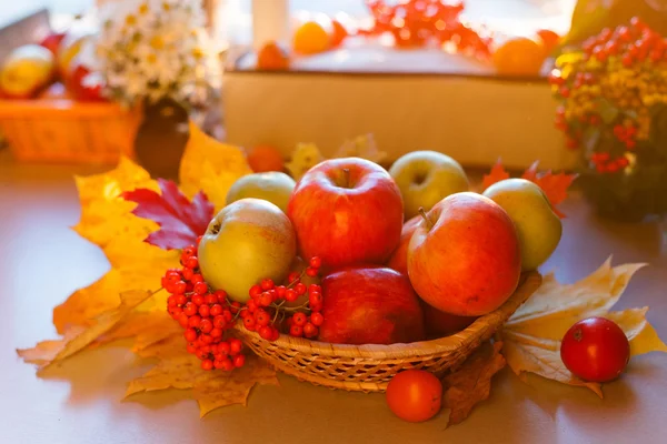 Red ripe apples with autumn leaves and rowan — Stock Photo, Image