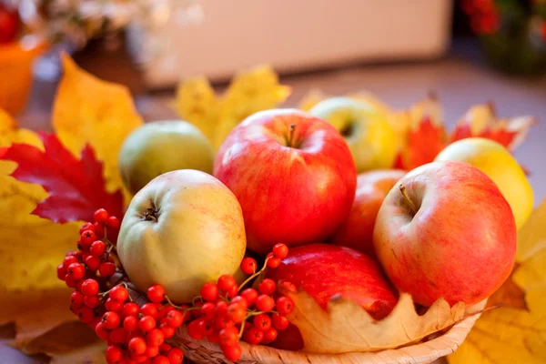 Rote reife Äpfel mit Herbstblättern und Eberesche — Stockfoto