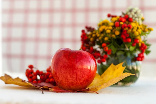 Rote reife Äpfel mit Herbstblättern und Eberesche — Stockfoto