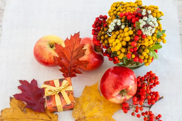 Rote reife Äpfel mit Herbstblättern und Eberesche — Stockfoto