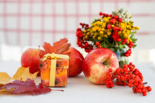 Rote reife Äpfel mit Herbstblättern und Eberesche — Stockfoto