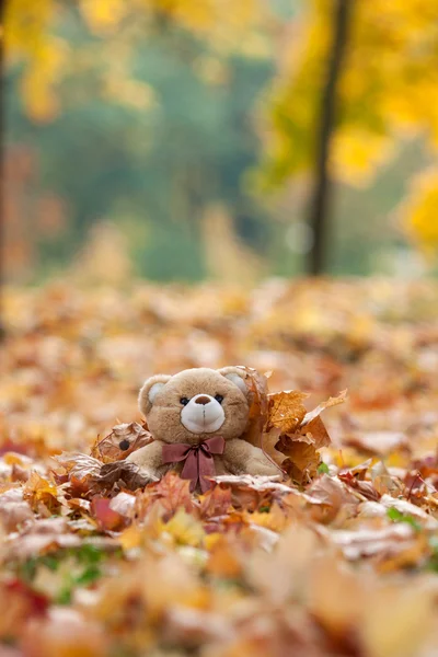 Ours en peluche vintage dans des feuilles d'automne Images De Stock Libres De Droits