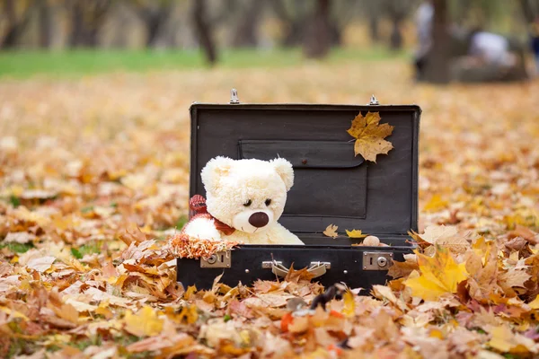 Ours en peluche en valise vintage en feuilles d'automne Image En Vente