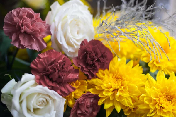 Flores Brancas Amarelas ve Vermelhas