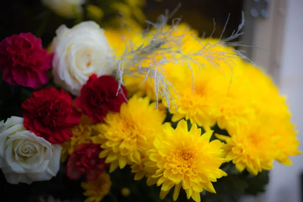 Crisântemos Amarelos