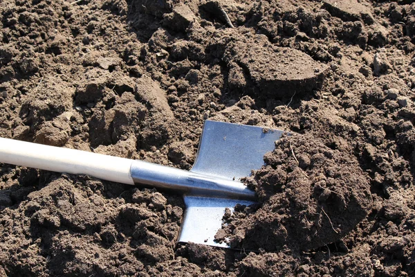 De schop liggend op de moestuin — Stockfoto