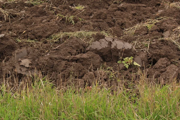 Fragment av fältet plogad — Stockfoto