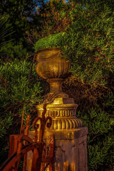 Bir çiçeğe yakın çekim