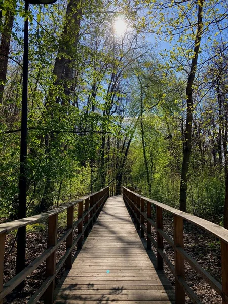 Vorobyovy Gory Parkı, Moskova