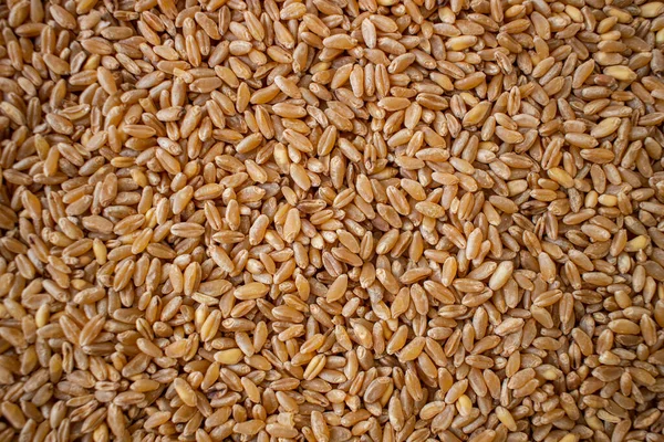 デュラム小麦の種の質感 上から撮影された平面上の種子のコンパクトな山 黄金の種 フィールド 自然の果実の概念 — ストック写真