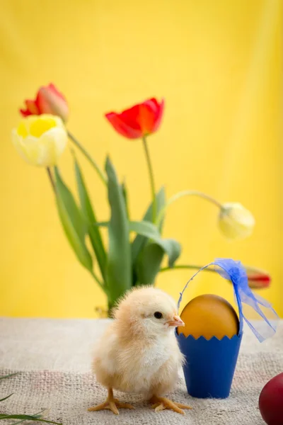 Κοτόπουλο Πάσχα και Πασχαλινά αυγά σε κίτρινο φόντο — Φωτογραφία Αρχείου