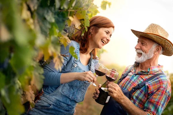 Happy couple taste the wine and smile in the vineyard