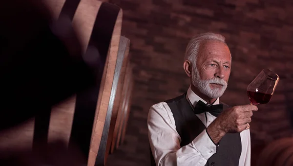 Starszy Mężczyzna Wygląda Kolor Wina Podnosząc Szklankę Przeciwko Światłu Piwnicy Obraz Stockowy