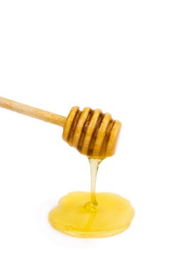 beyaz üzerine bal bal ayı