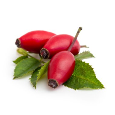 Rose hips beyaz bir arka plan üzerinde izole