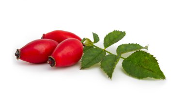 Beyaz bir arka plan üzerinde köpek rose (Rosa canina) meyve