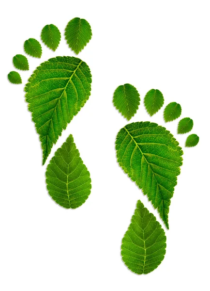 Traccia il piede dalle foglie — Foto Stock