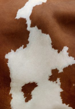 inek cilt dokusunu