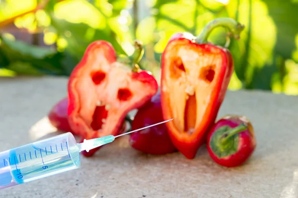 Geneticky modifikované paprika — Stock fotografie