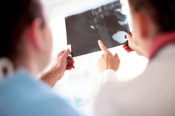 Primer plano de colegas médicos sosteniendo rayos X — Foto de Stock