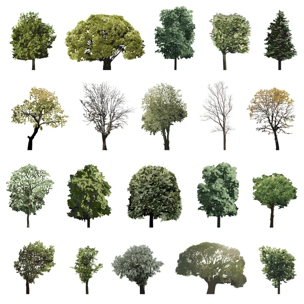 Jeu vectoriel d'arbres — Image vectorielle