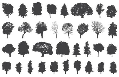 set of isolated trees silhouettes clipart