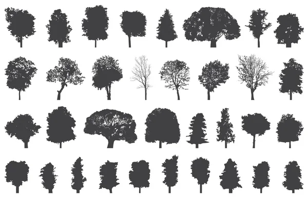 Verzameling van geïsoleerde bomen silhouetten — Stockvector